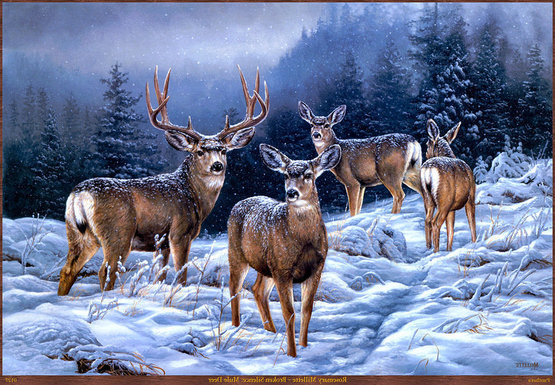олени - зима, дикие животные, закат, олени, косули, лес, природа - оригинал