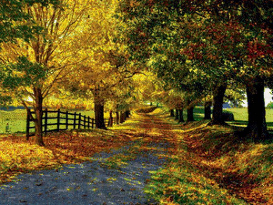 Пейзаж - осень, лес, природа, деревья - предпросмотр
