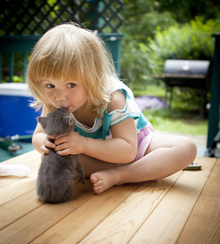 Киса - дети, котята - оригинал