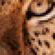 Предпросмотр схемы вышивки «леопард» (№517247)