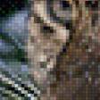 Предпросмотр схемы вышивки «леопард» (№517270)