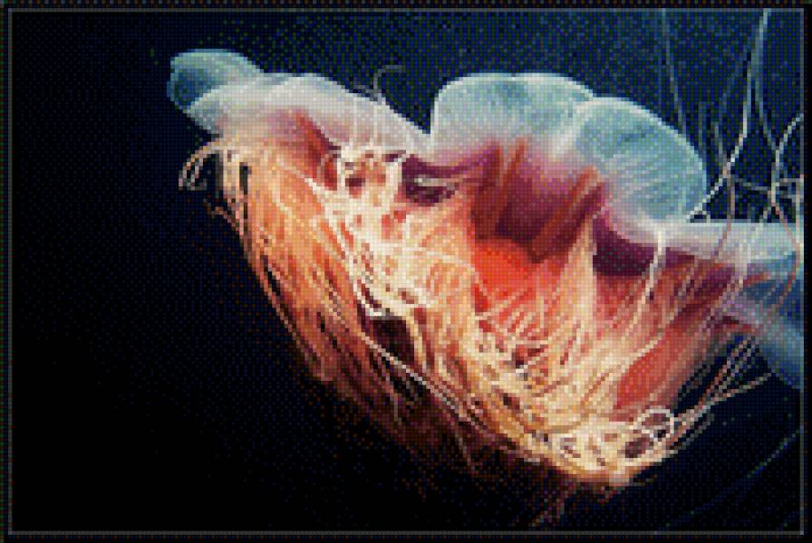 медуза - под.мир - предпросмотр