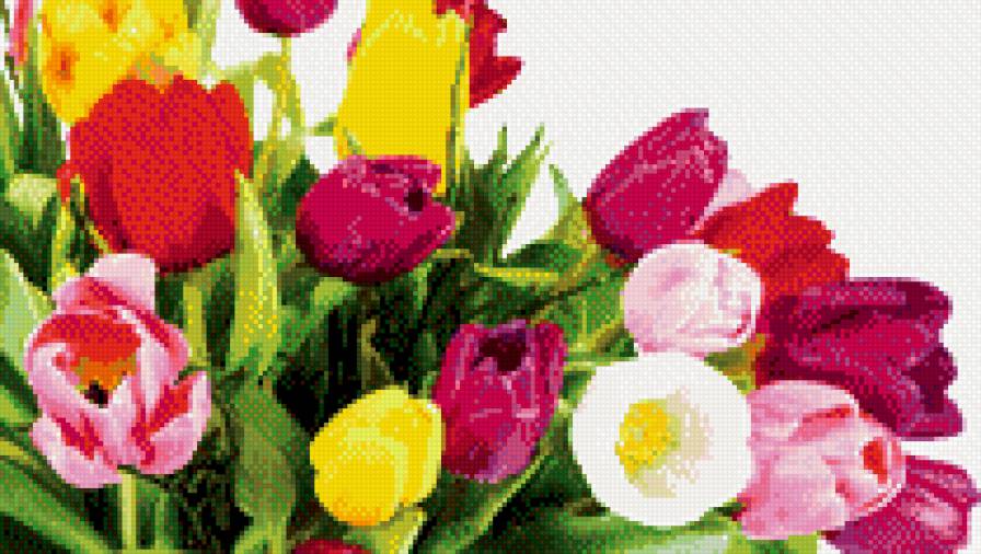 цветы - предпросмотр