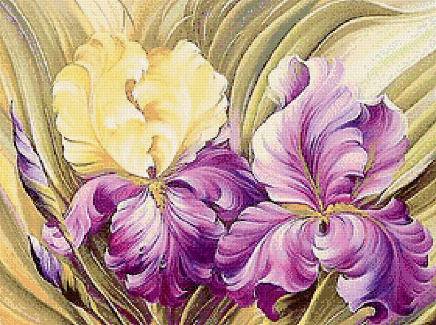 Пара ирисов (живопись) - пара, ирисы, акварель, цветы, живопись - предпросмотр