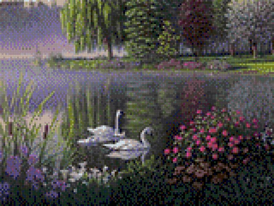 лебеди - птицы, лебеди - предпросмотр