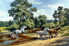 Схема вышивки «кони»