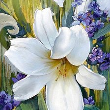 Белая лилия