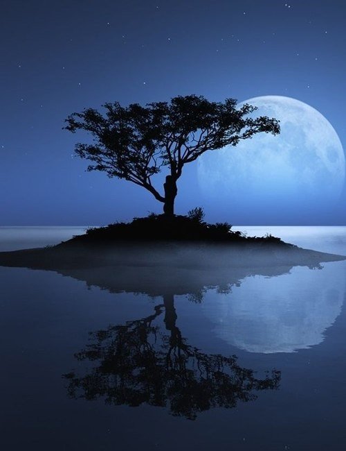 Одинокое дерево - одинокое дерево, луна, озеро, ночь, отражение - оригинал