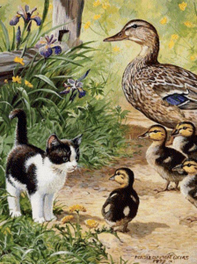 Котёнок и утята - село, кошки, животные - предпросмотр
