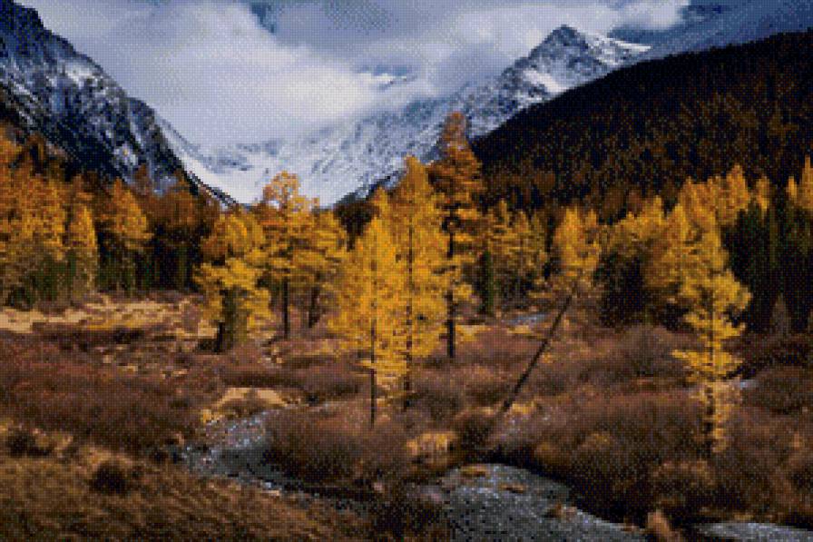 Осень в горах - речка, лес, горы, сосны, осень - предпросмотр