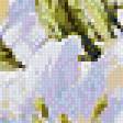 Предпросмотр схемы вышивки «"Нежные лилии" (живопись)» (№517569)