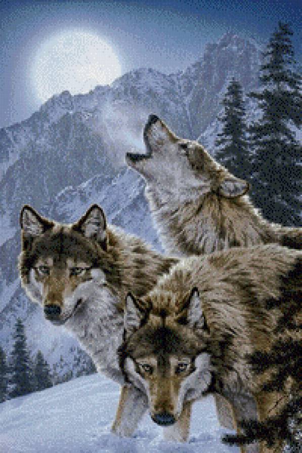 Стая - луна, животные, пейзаж, волки, зима - предпросмотр