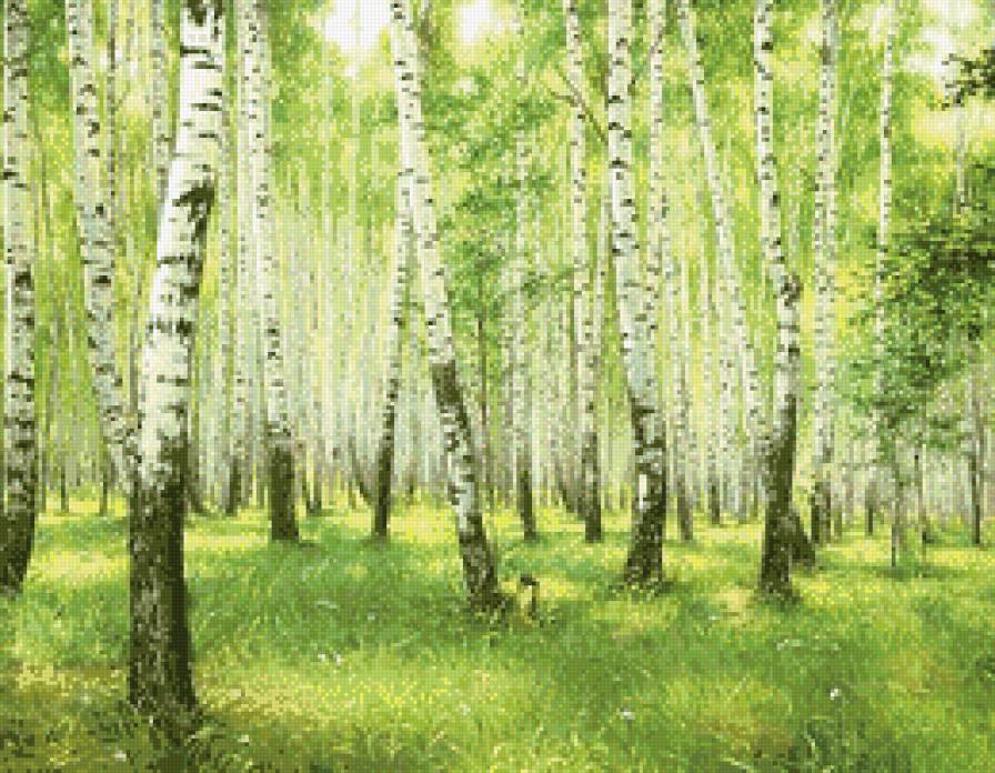 Березки - живопись, пейзаж, катрина, лес, березы - предпросмотр