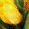 Предпросмотр схемы вышивки «тюльпаны» (№517815)