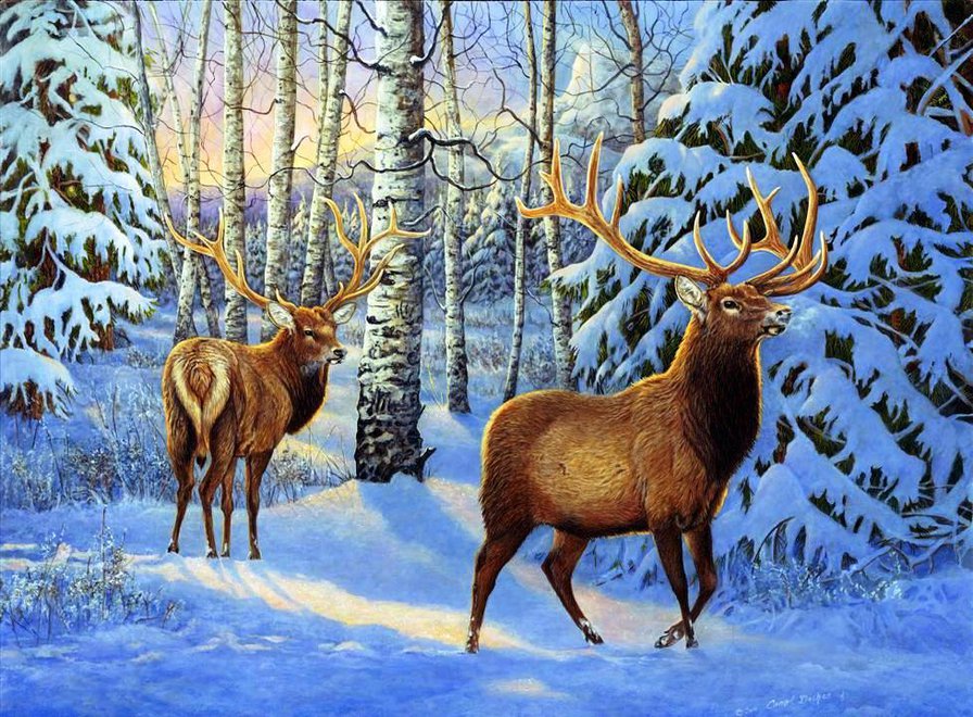 №517931 - оригинал