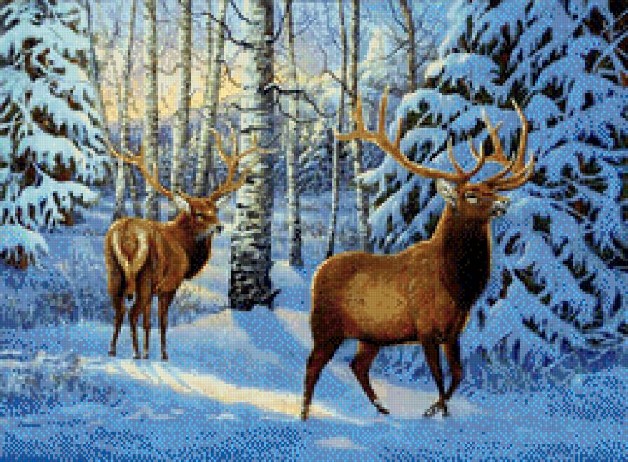 №517931 - предпросмотр