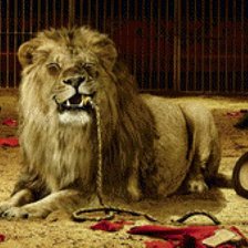 Схема вышивки «цирк»