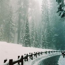 Волшебный зимний лес.