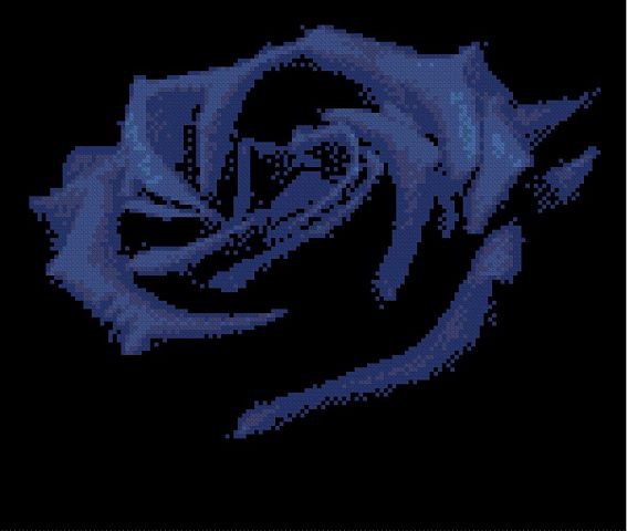 роза - цветок, роза, черный фон - оригинал