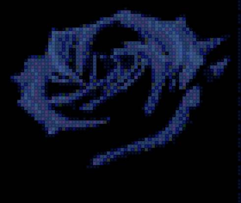 роза - роза, черный фон, цветок - предпросмотр