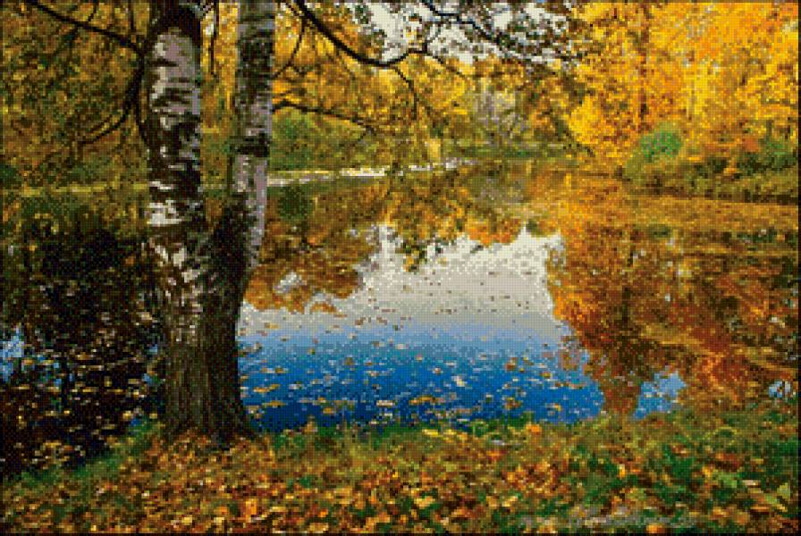 Осенний пруд - лес, пруд, осень, листья - предпросмотр