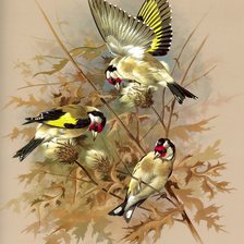 Схема вышивки «№518340»