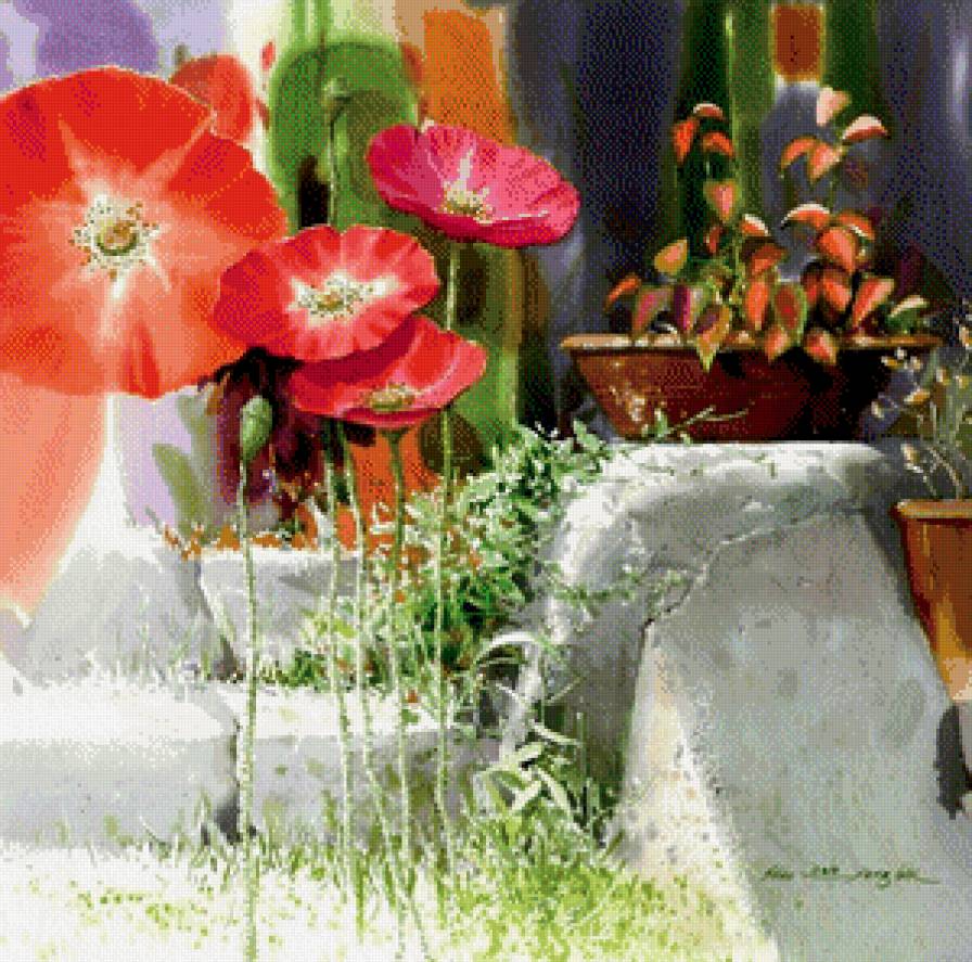 №518508 - маки, цветы, натюрморт - предпросмотр