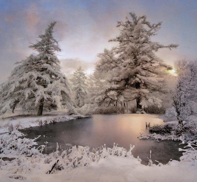 зима пришла - дерево, зима, озеро, река, новый год, берег, иней, снег, закат, заря, лес - оригинал