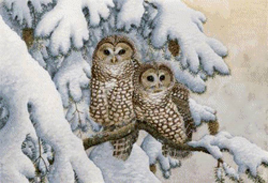 №518730 - предпросмотр