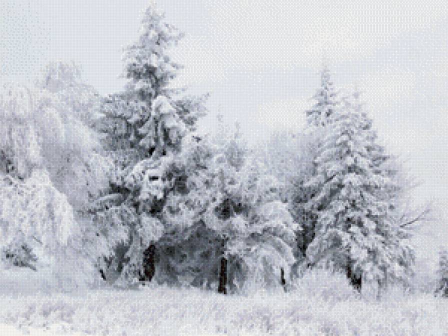 зима монохром - лес, зима, монохром, чорнобелое, снег пейзаж - предпросмотр