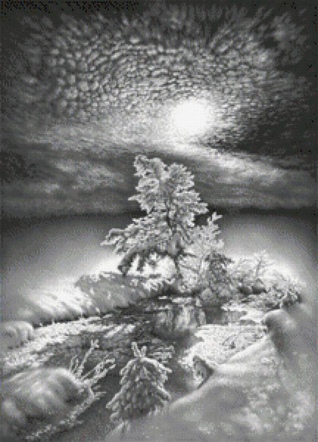 зима монохром 2 - пейзаж, монохром, лес, зима, природа, чорнбелое, новый год, снег - предпросмотр