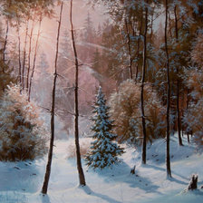 зимний лес закат