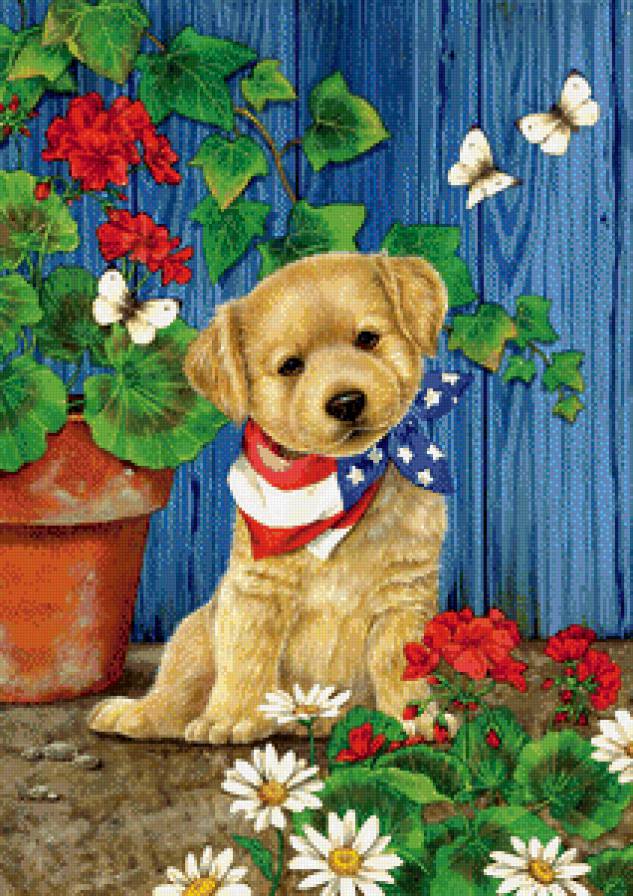 эти забавные животные - предпросмотр