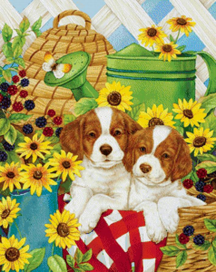 домашние любимцы - предпросмотр