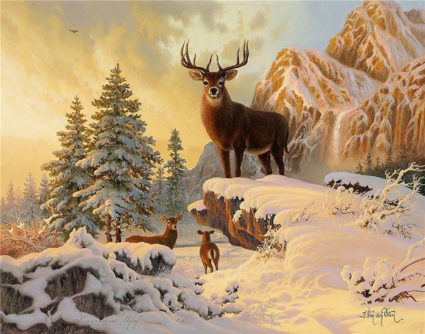 олени - животные, зима, лес, снег, горы - оригинал
