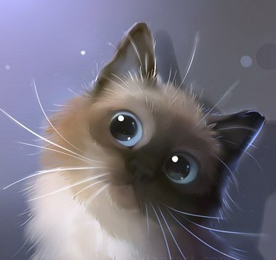 сиамский котенок - оригинал