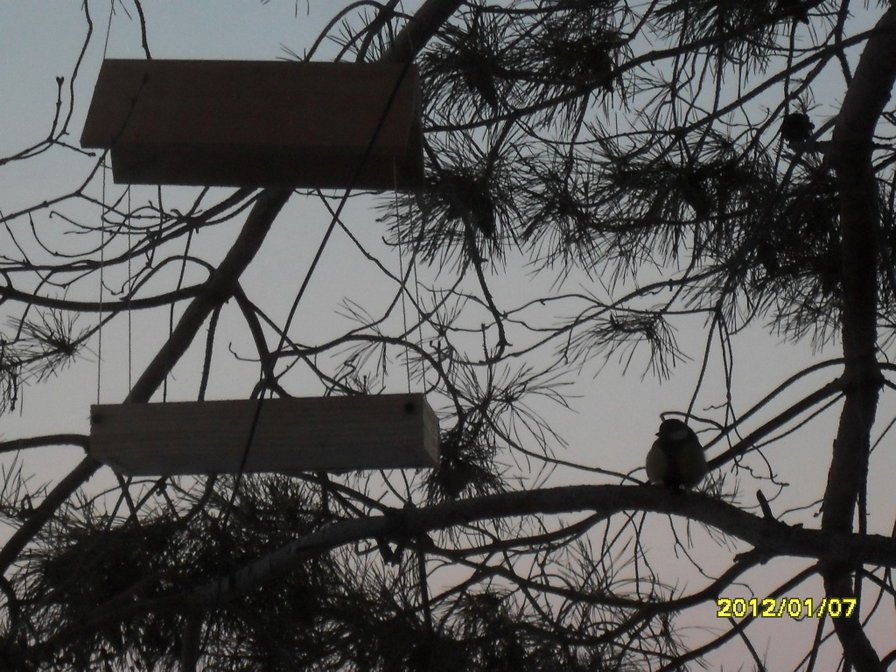 №518978 - оригинал