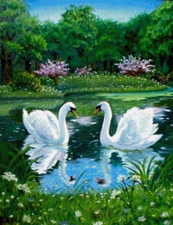 лебеди на озере - лебеди - предпросмотр