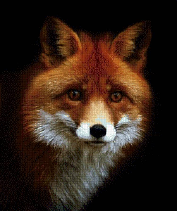 Лис - предпросмотр