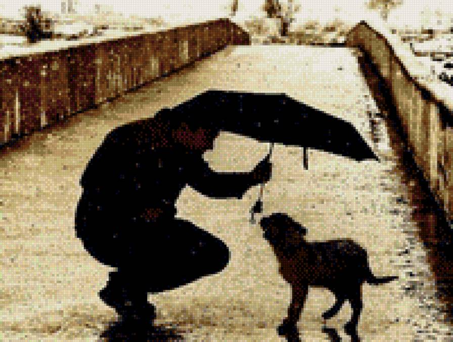 547468585589 - человек, зонтик, собака - предпросмотр