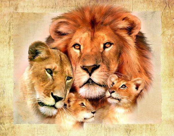 Семья львов - львы - оригинал