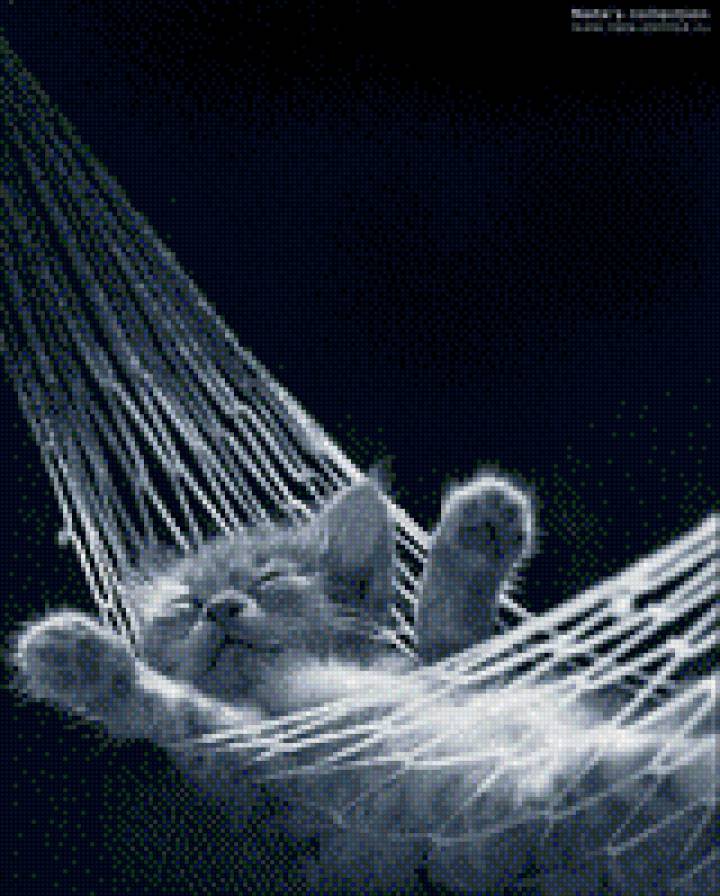 кот на отдыхе - предпросмотр