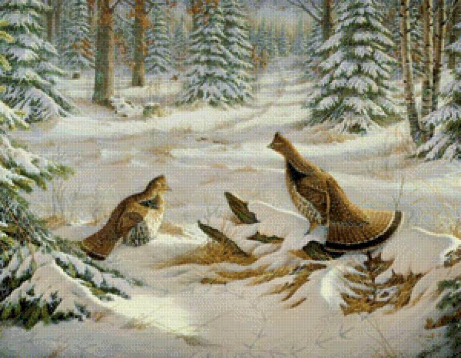 тетерева зима - снег, птицы, лес, глухарь, новый год, пейзаж, тетерев, зима, природа - предпросмотр