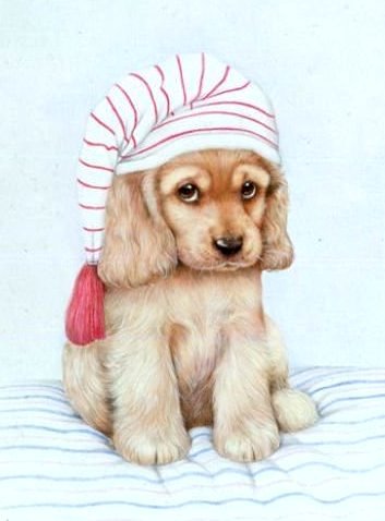 №519496 - оригинал