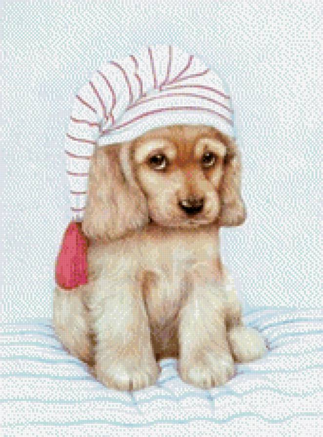 №519496 - предпросмотр