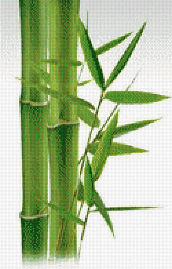 Бамбук - рисунок, панно, восток - предпросмотр