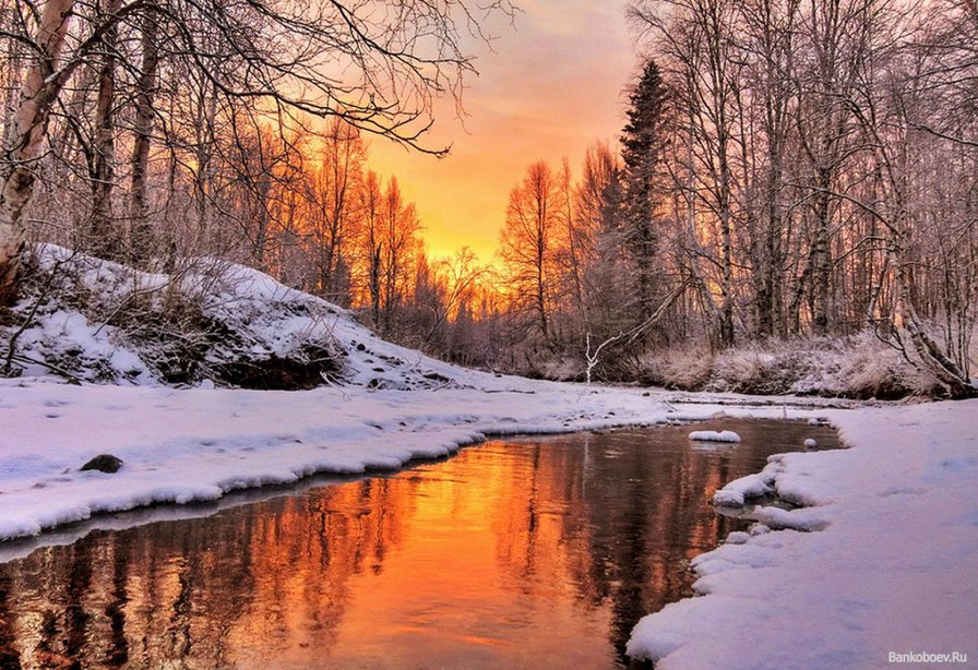 Оранжевый зимний закат. - закат, зима, река, снег, лес - оригинал