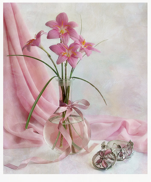 Розовый натюрморт - красота - оригинал