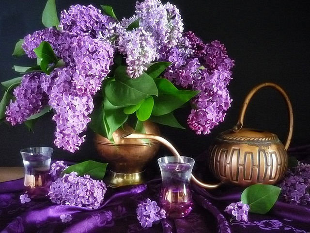 Сирень - натюрморт, сирень, цветы - оригинал