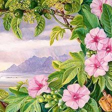 Схема вышивки «картина»